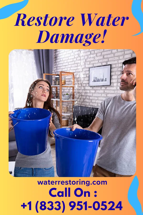 water restoration Premier Flood Damage Solutions St. John