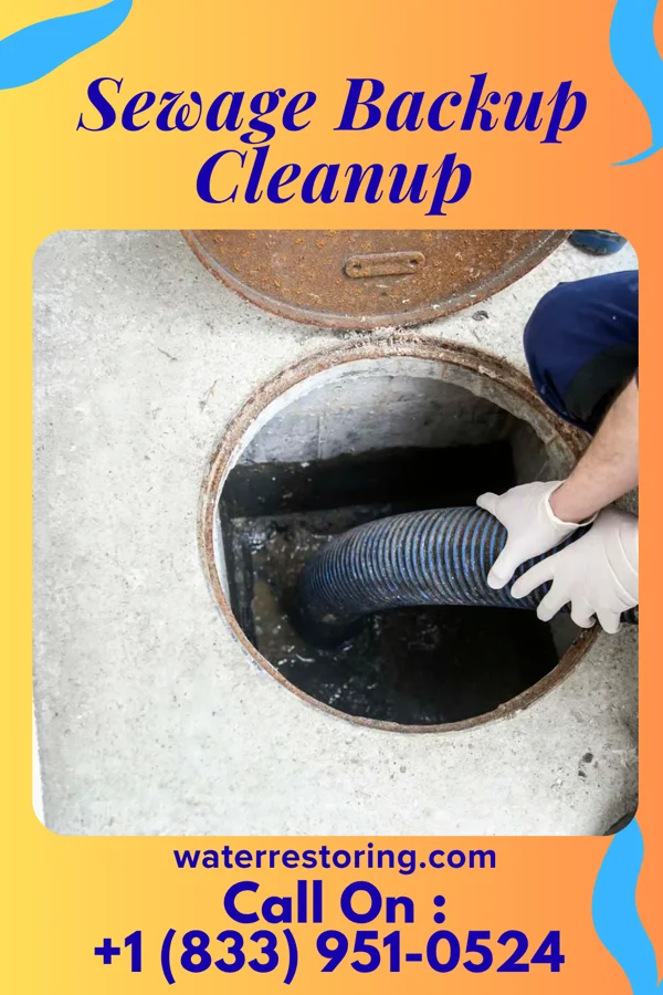 Sewage Backup Cleanup in St. John, KS